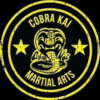Cobra Kai Martial Arts