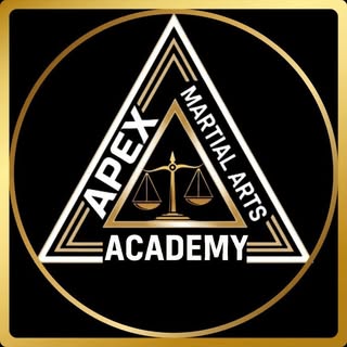 Apex Martial Arts Academy