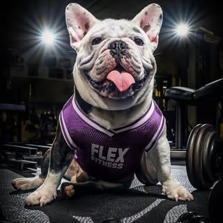 Flex Fitness Center