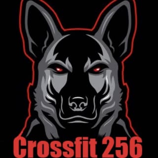 CrossFit 256