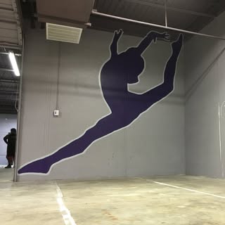 Nicole's Gymnastics Academy